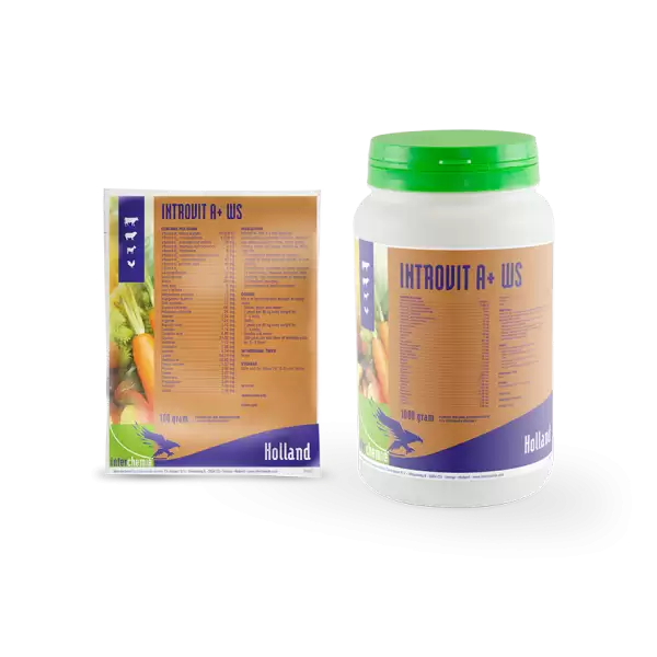 Int. Introvit A+ Oral 100ml