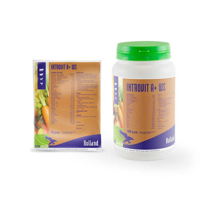 Int. Introvit A+ Oral 100ml